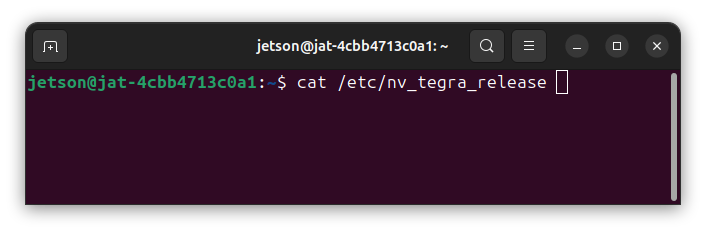 Jetson terminal